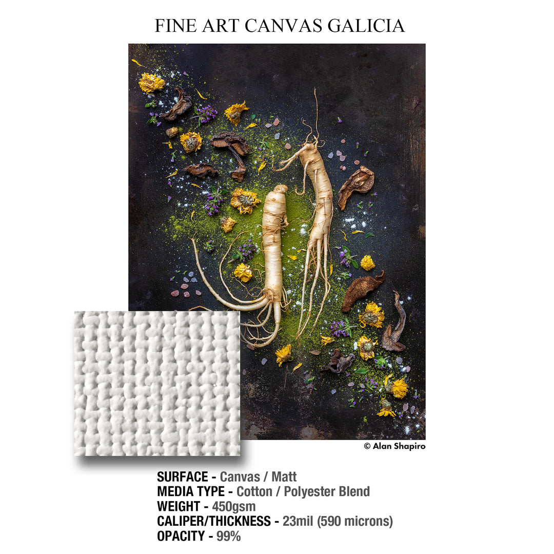 GALERIE Fine Art CANVAS Galicia