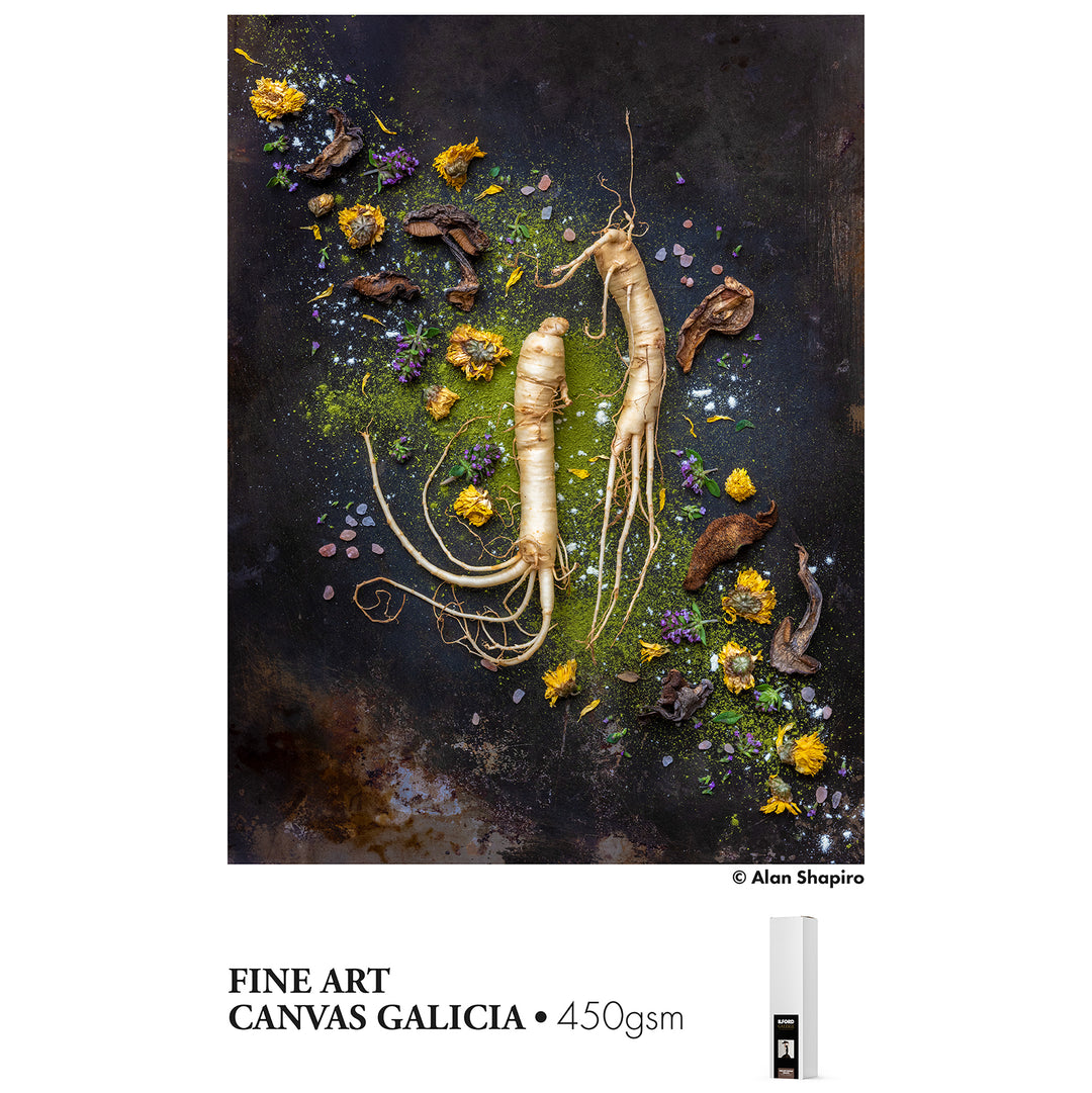 GALERIE Fine Art CANVAS Galicia