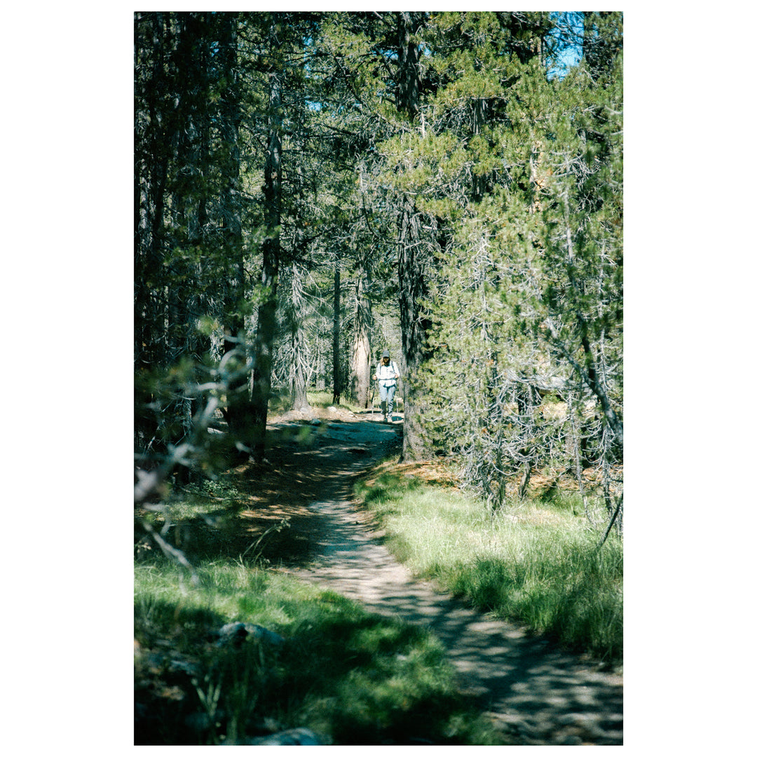 ILFOCOLOR 400+ Vintage Tone 35mm Color Film 36 exp