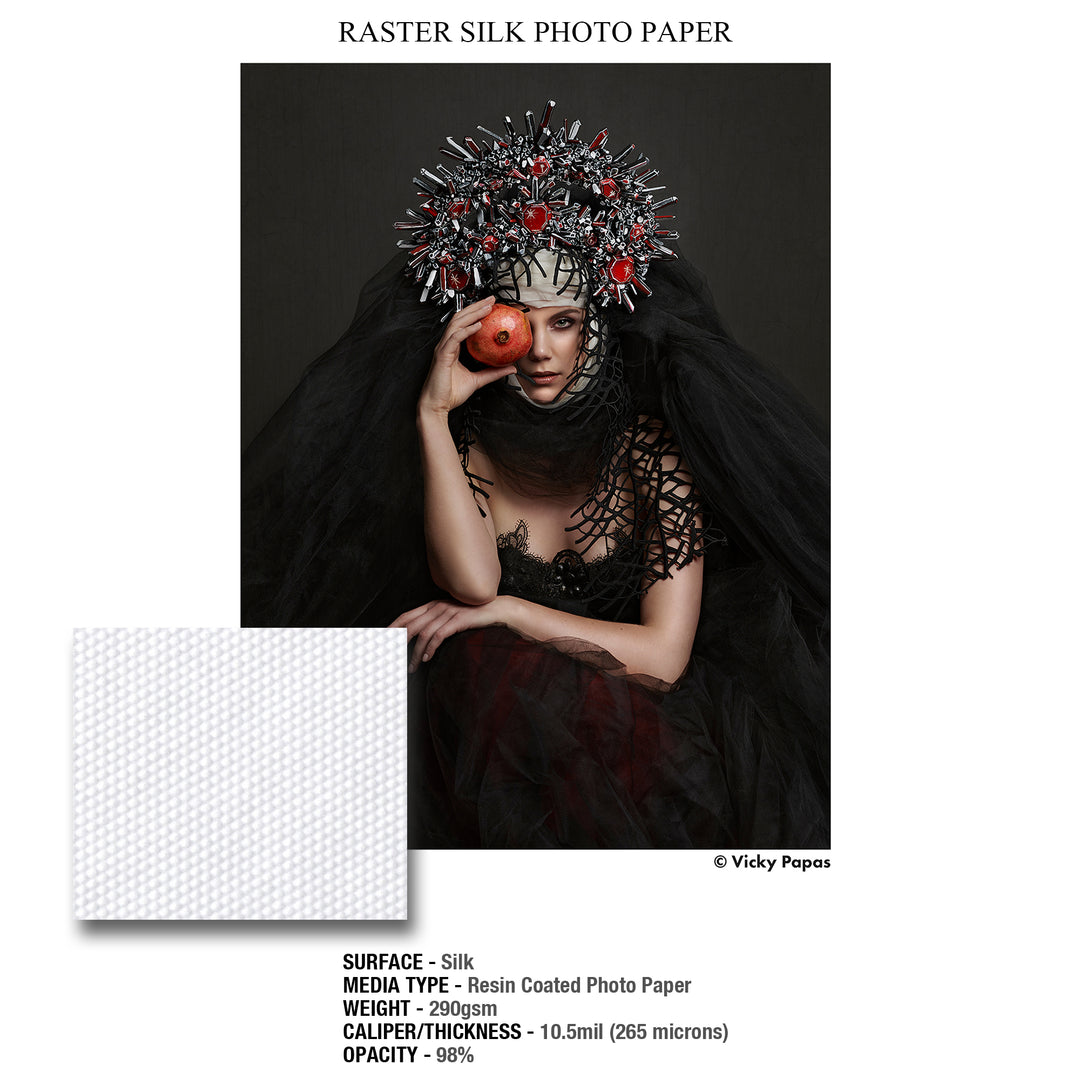 GALERIE RASTER SILK PHOTO