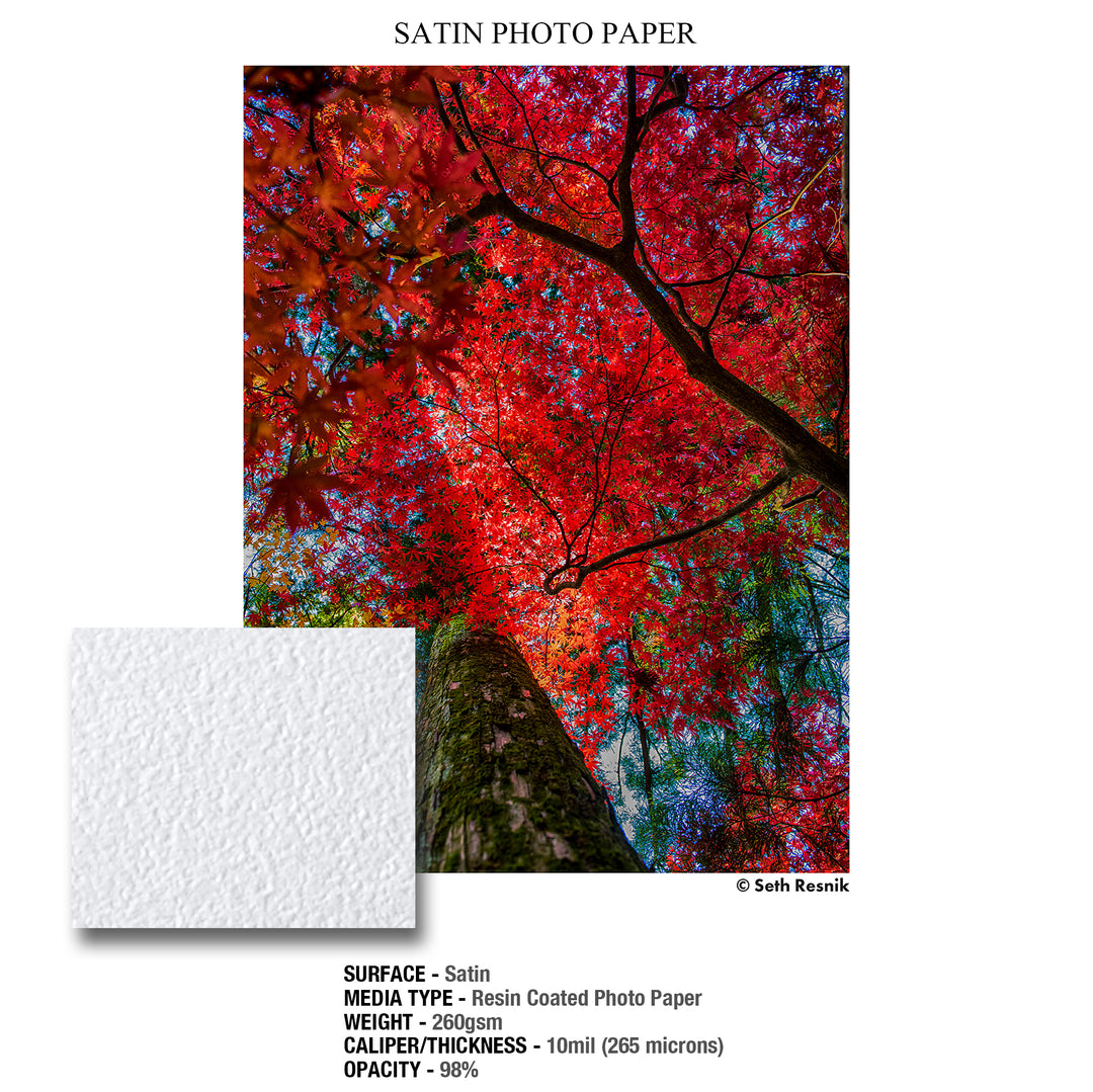 GALERIE SATIN PHOTO