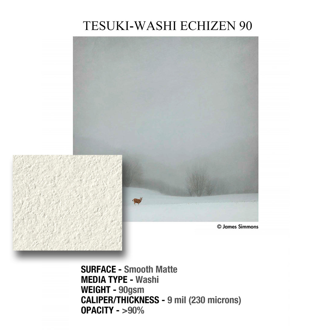 GALERIE Tesuki-Washi Echizen Smooth 90