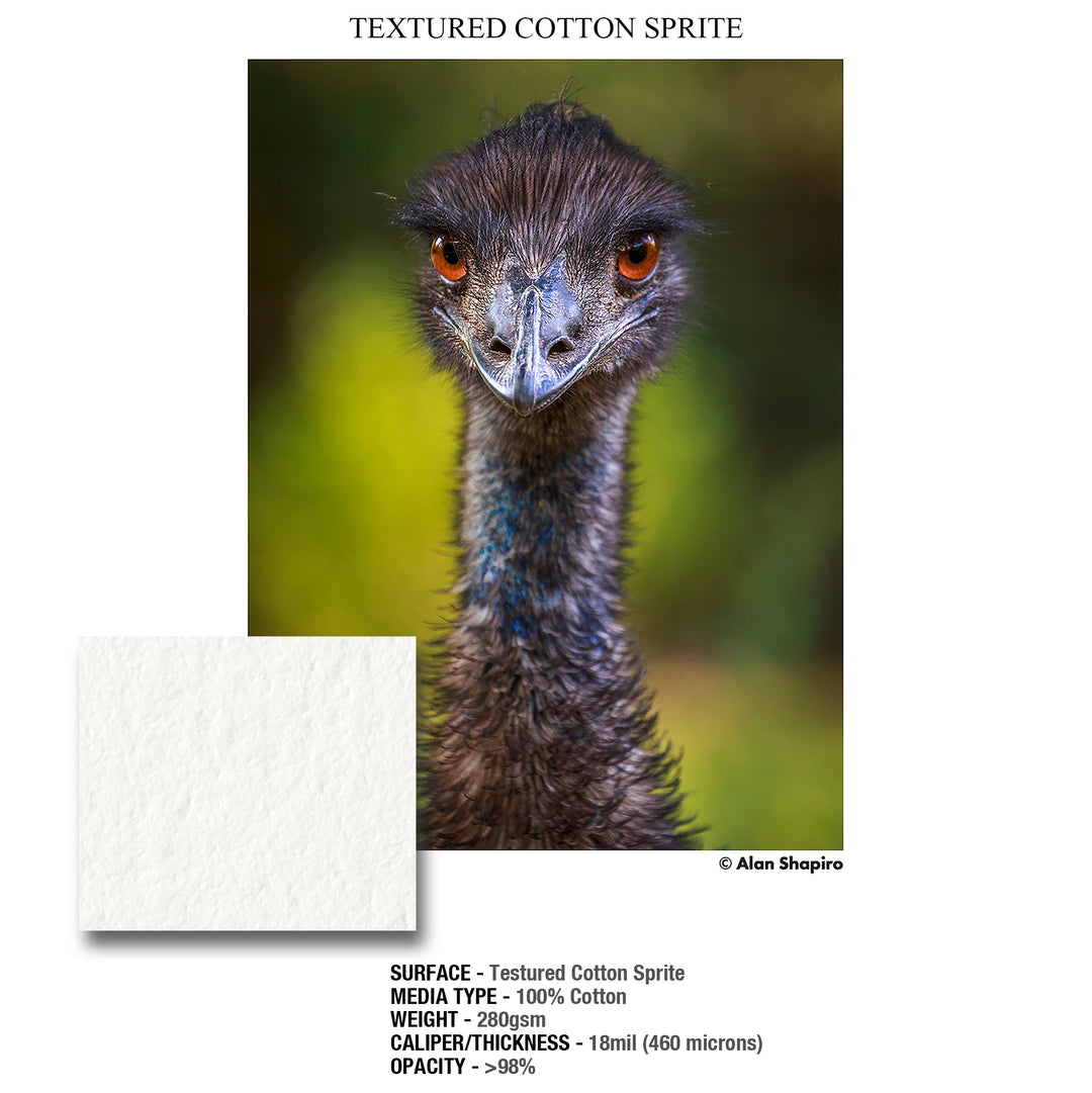 GALERIE Textured Cotton Sprite